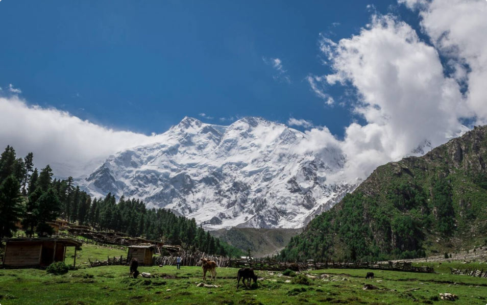 Nanga Parbat Trekking Tour
